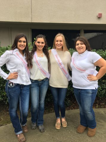 FFA Sweetheart Candidates Prepare for Balloon Sales