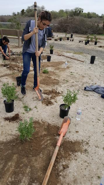 Environmental Club Participates in Planting Project at San Luis Refuge