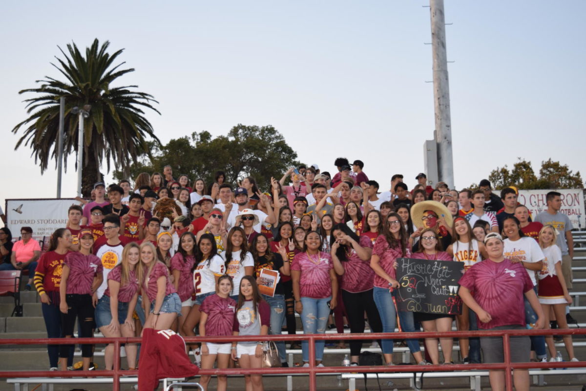 Tiger Pride Section:  The Game From the Stands
