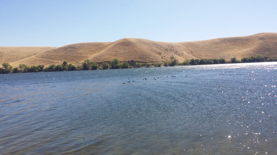 Another angle of Los Banos Creek Reservoir shows open waters to fish.