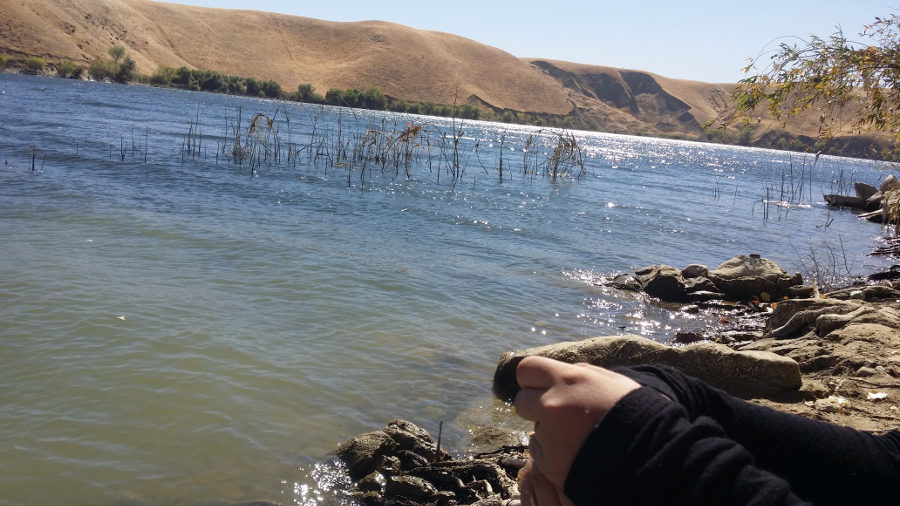 Los Banos Creek Reservoir is a relaxing place to fish.