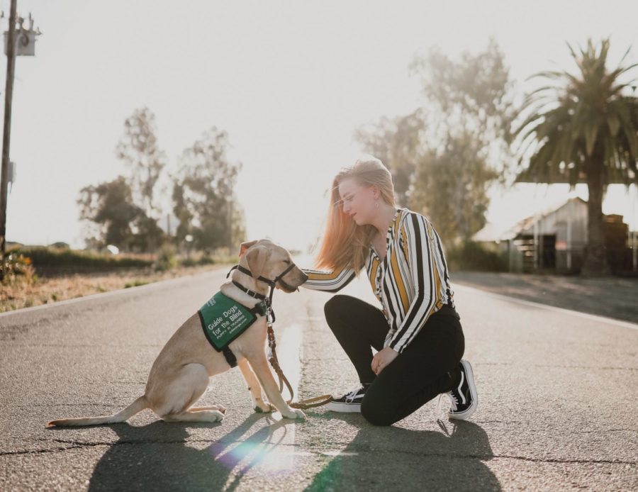 Seeing Eye Dog Learns Alongside Students