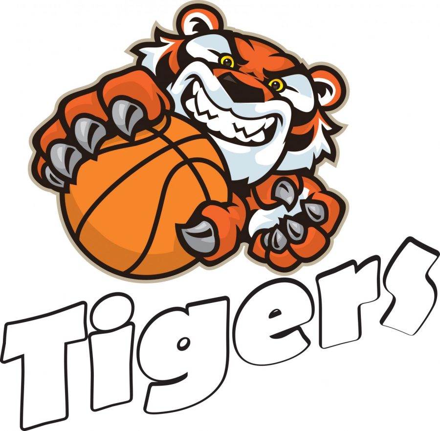 2020 Tigers Basketball Season