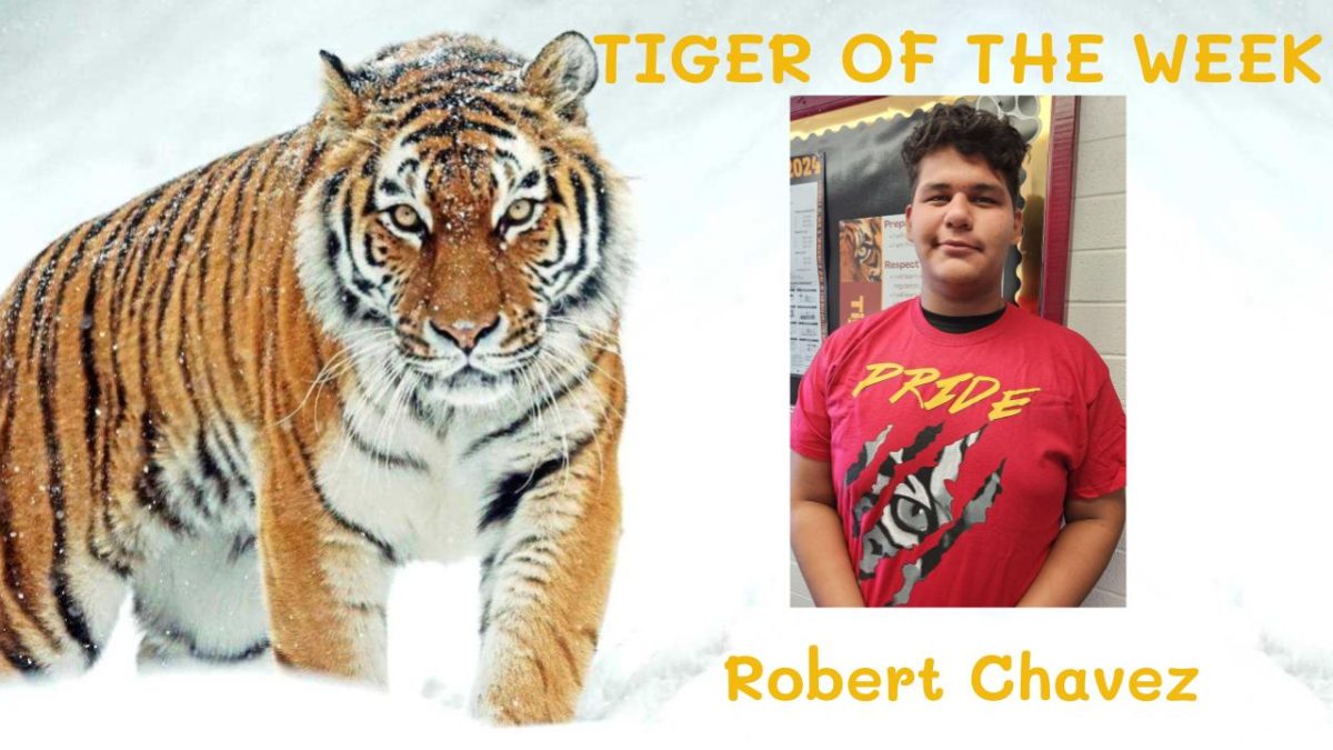 Tiger of the Week:  Robert Chavez