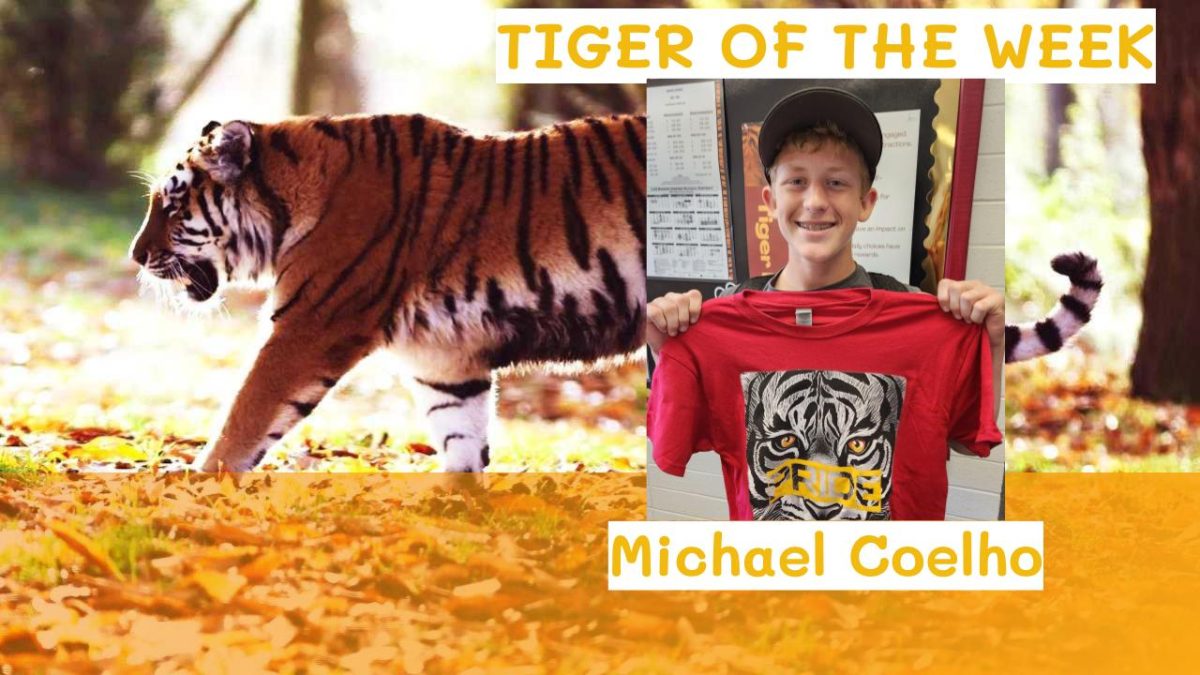 Tiger of The Week:  Michael Coelho