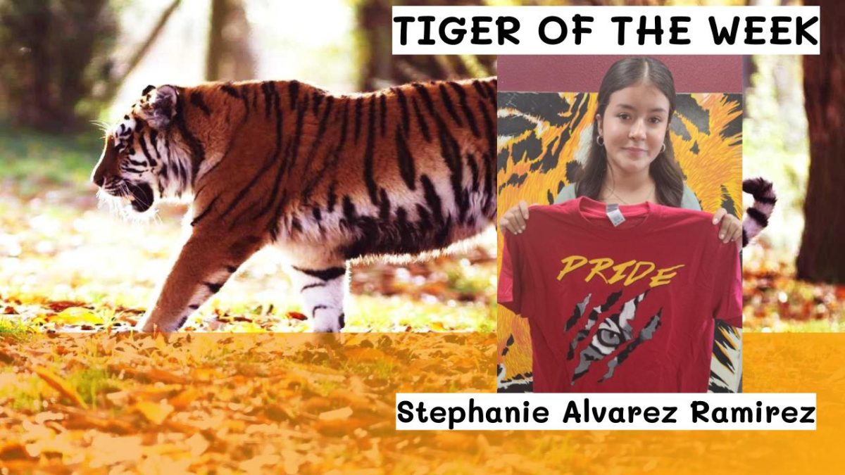 Tiger+of+the+Month%3A++Stephanie+Alvarez