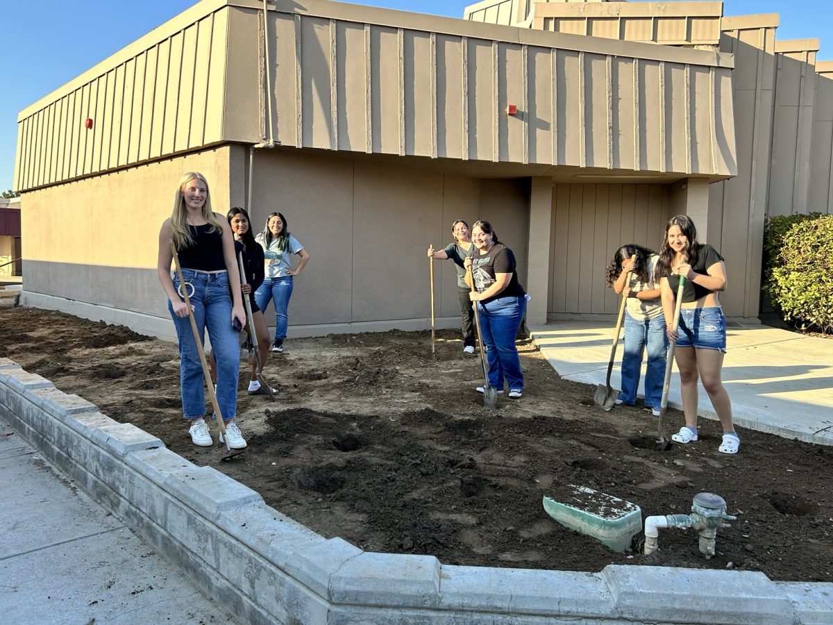Environmental Club adds plants to library area