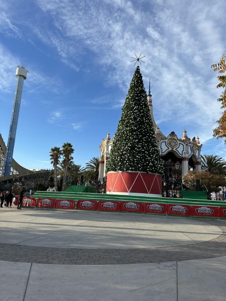 Christmas essence all over Great America, with this grand Christmas tree.  