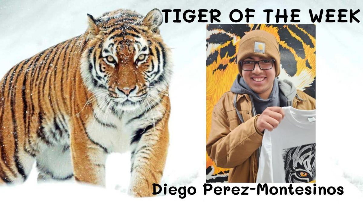 Tiger+of+the+Week%3A++Diego+Perez-Montesinos