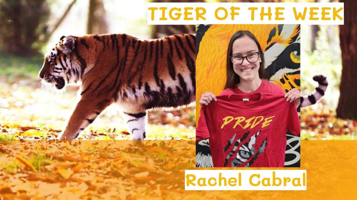 Tiger of the Week:  Rachel Cabral