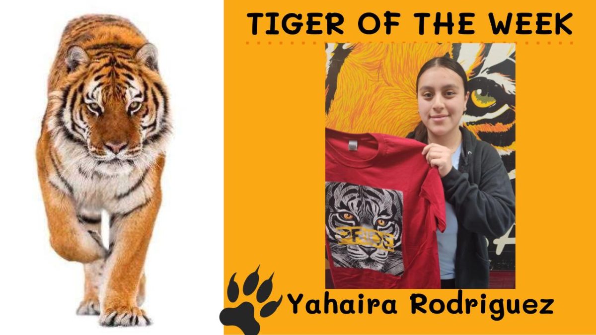 Tiger+of+the+Week%3A++Yahaira+Rodriguez