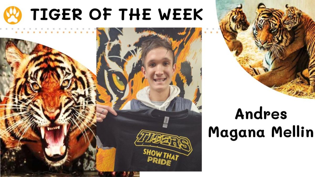 Tiger of the Week:  Andres Magana Mellin