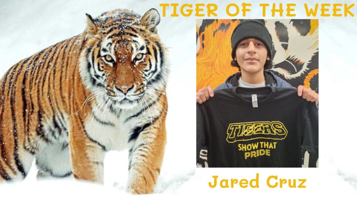 Tiger of the Week:  Jared Cruz