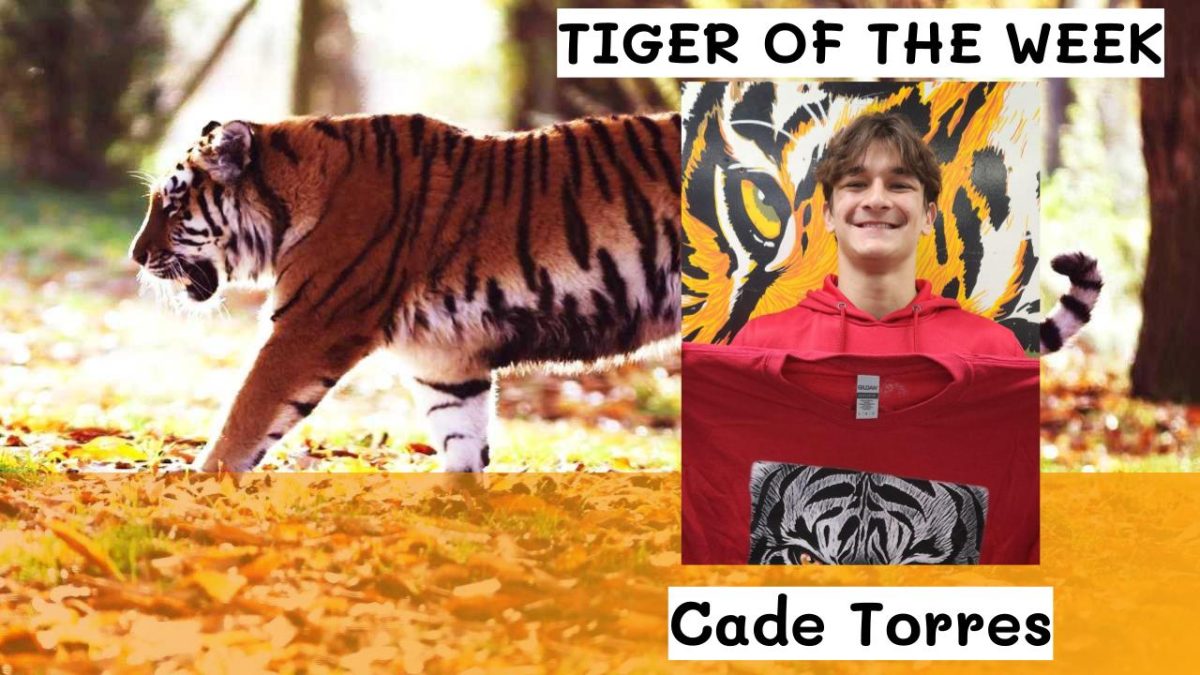 Tiger of the Week:  Cade Torres