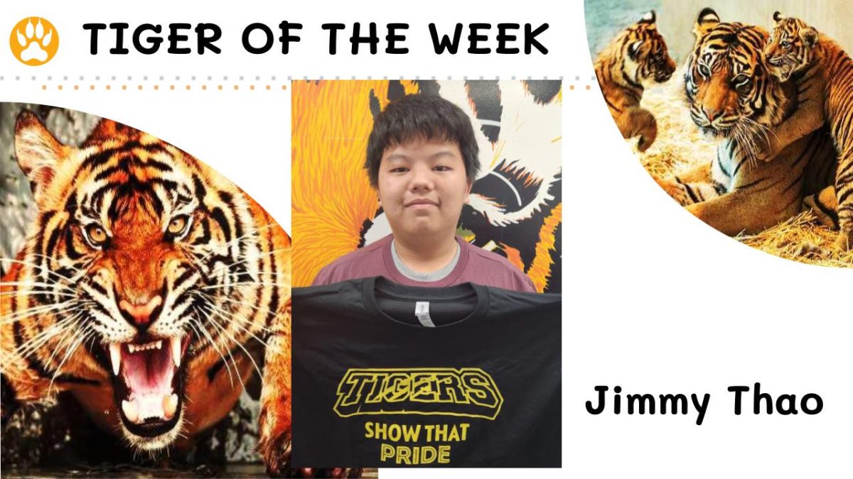 Tiger of the Week:  Jimmy Thao