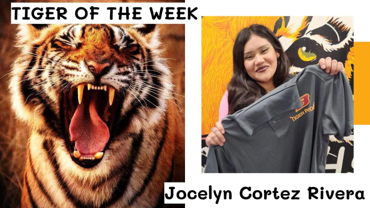 Tiger of the Week:  Jocelyn Cortez