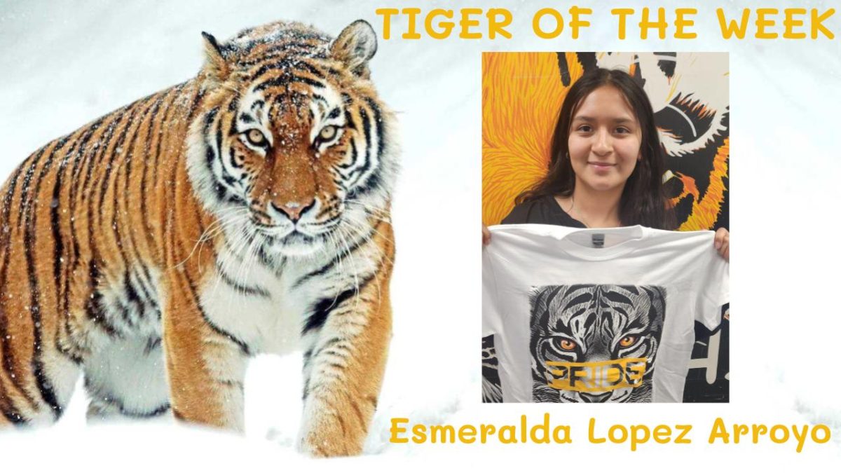 Tiger of the Week:  Esmeralda Lopez Arroyo