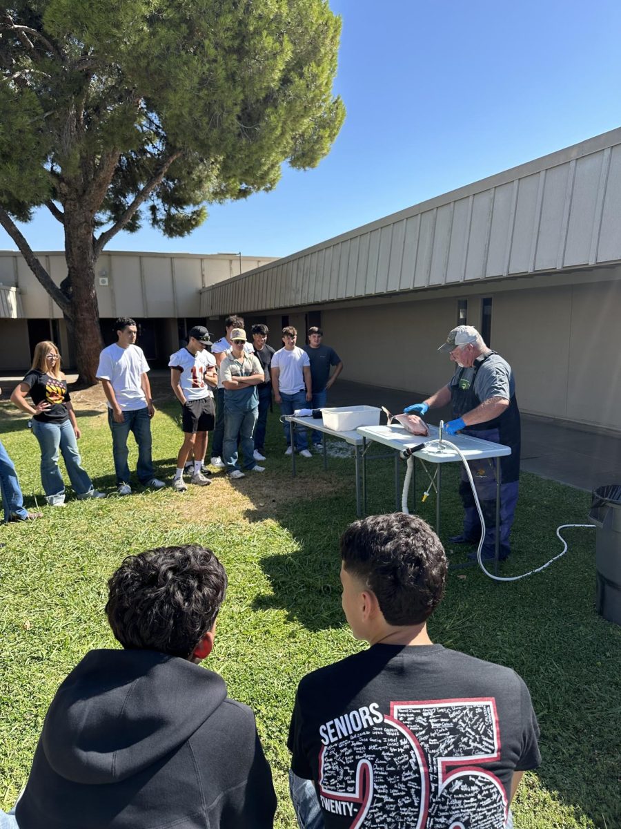 Mr. McCullough shows the class how to process Albacore Tuna during his classes.