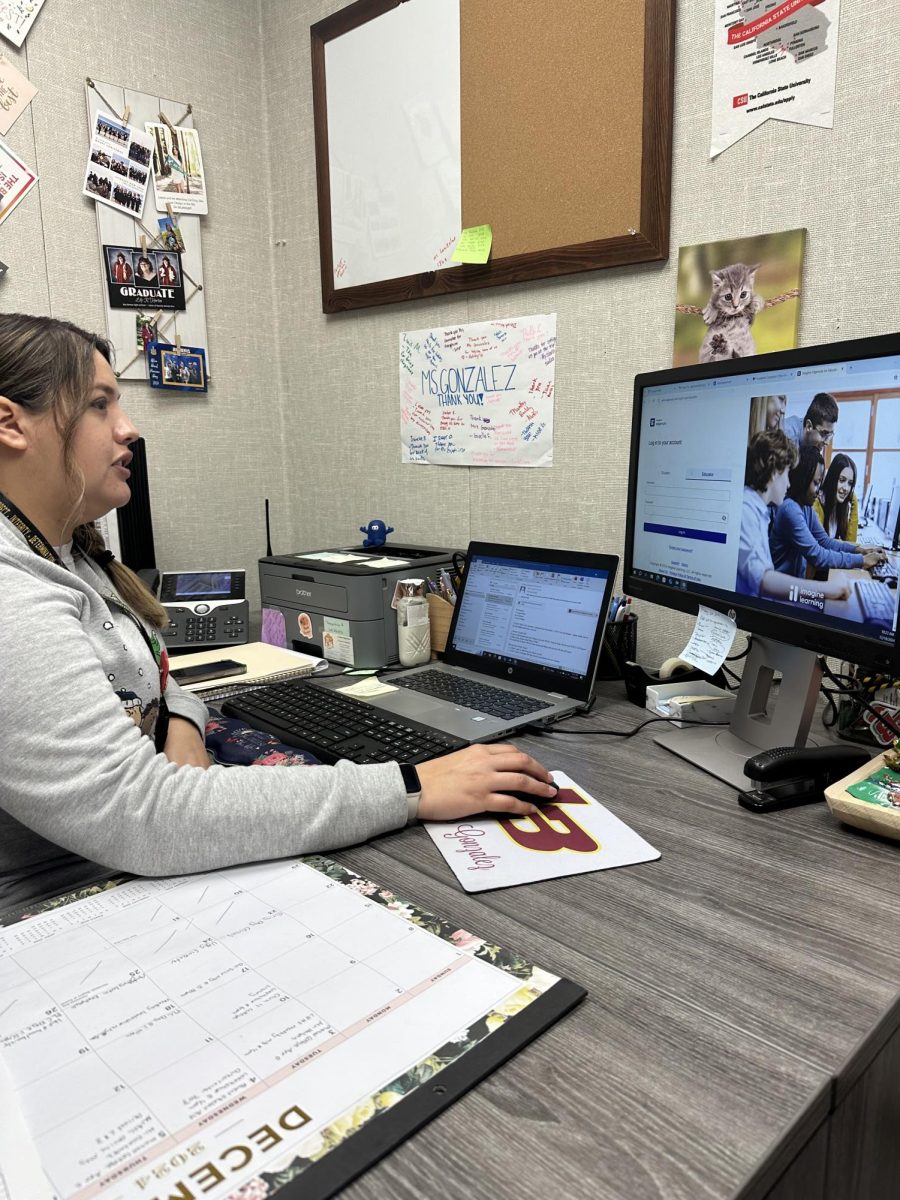 Ms. Gonzalez works hard in her office.