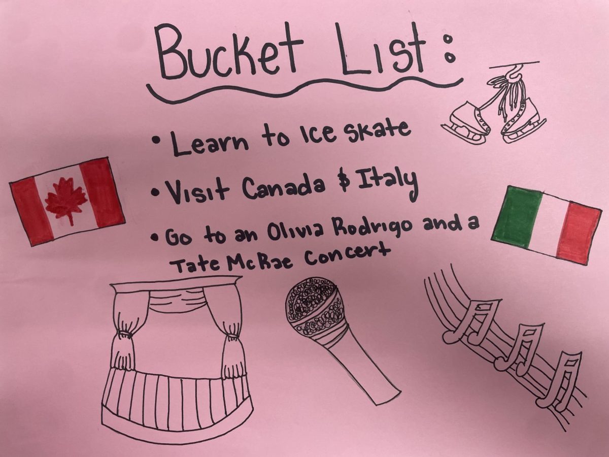 Joanna's drawing of her bucket list.