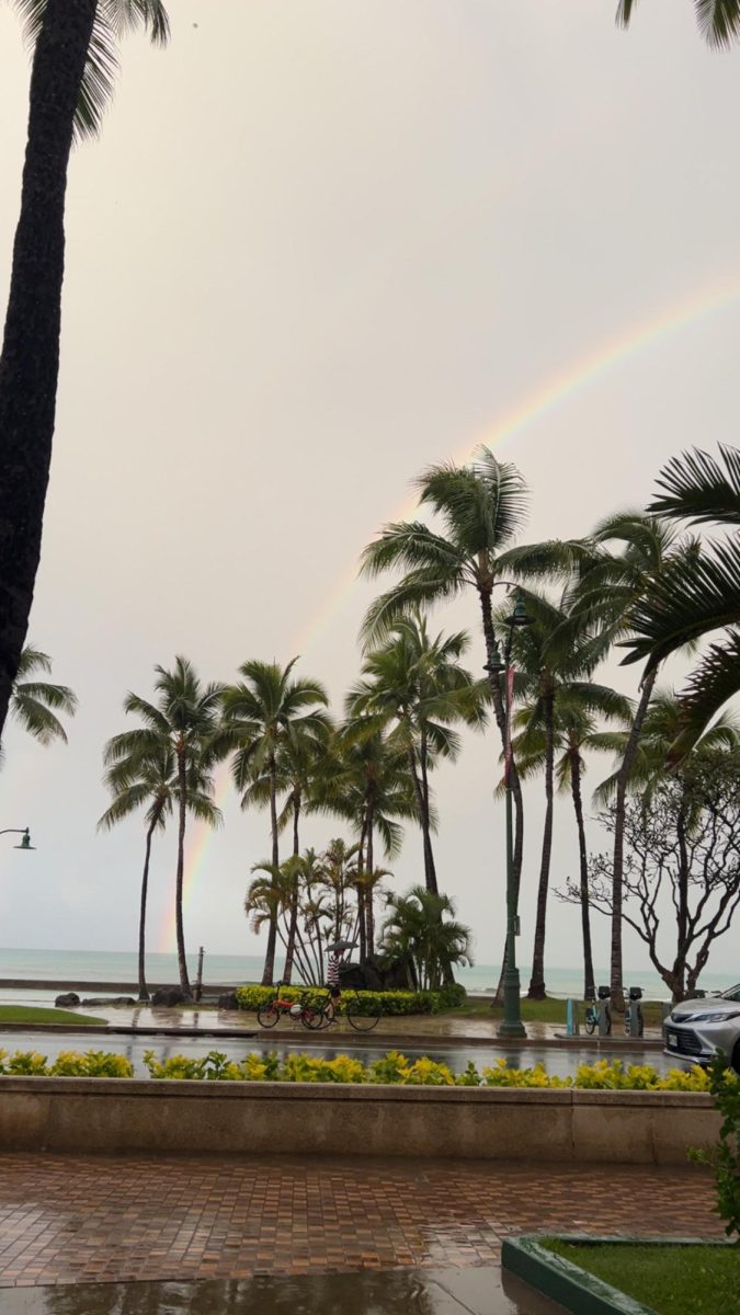 Honolulu rainbow made this day special.