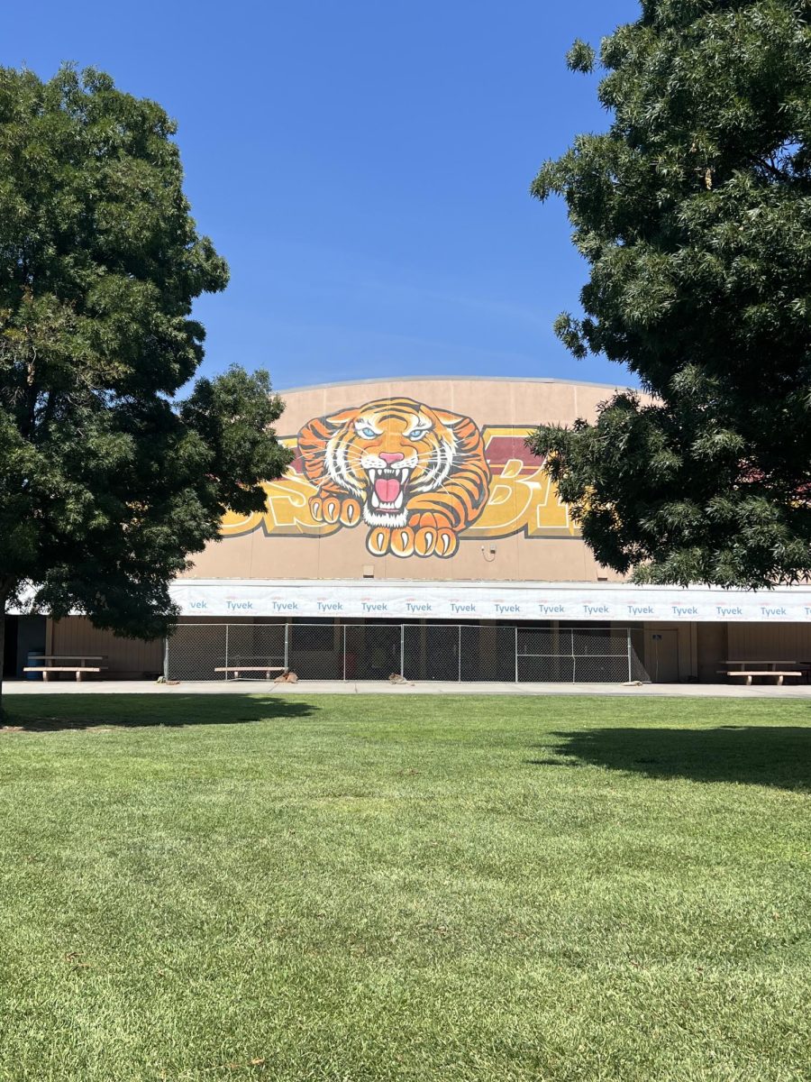 Construction on the Tiger Gym continues as renovations begin around campus.