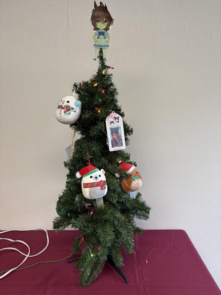 Mr. Sanchez puts up his Christmas tree.