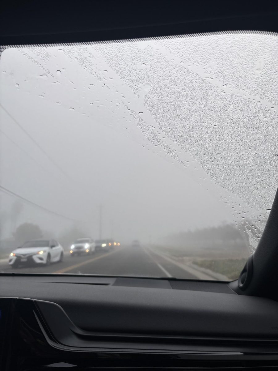 Extreme weather conditions cause poor visibility on the road especially during winter.