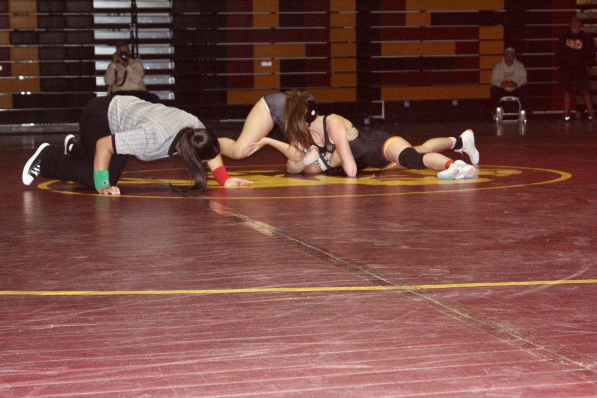 Wresting season showcases many athletic skills.
