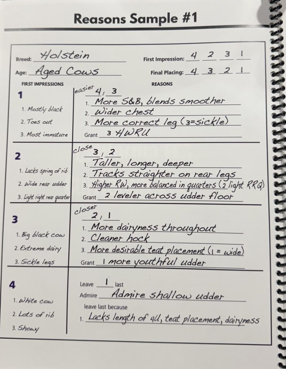 Dairy team uses these templates to score the cattle.