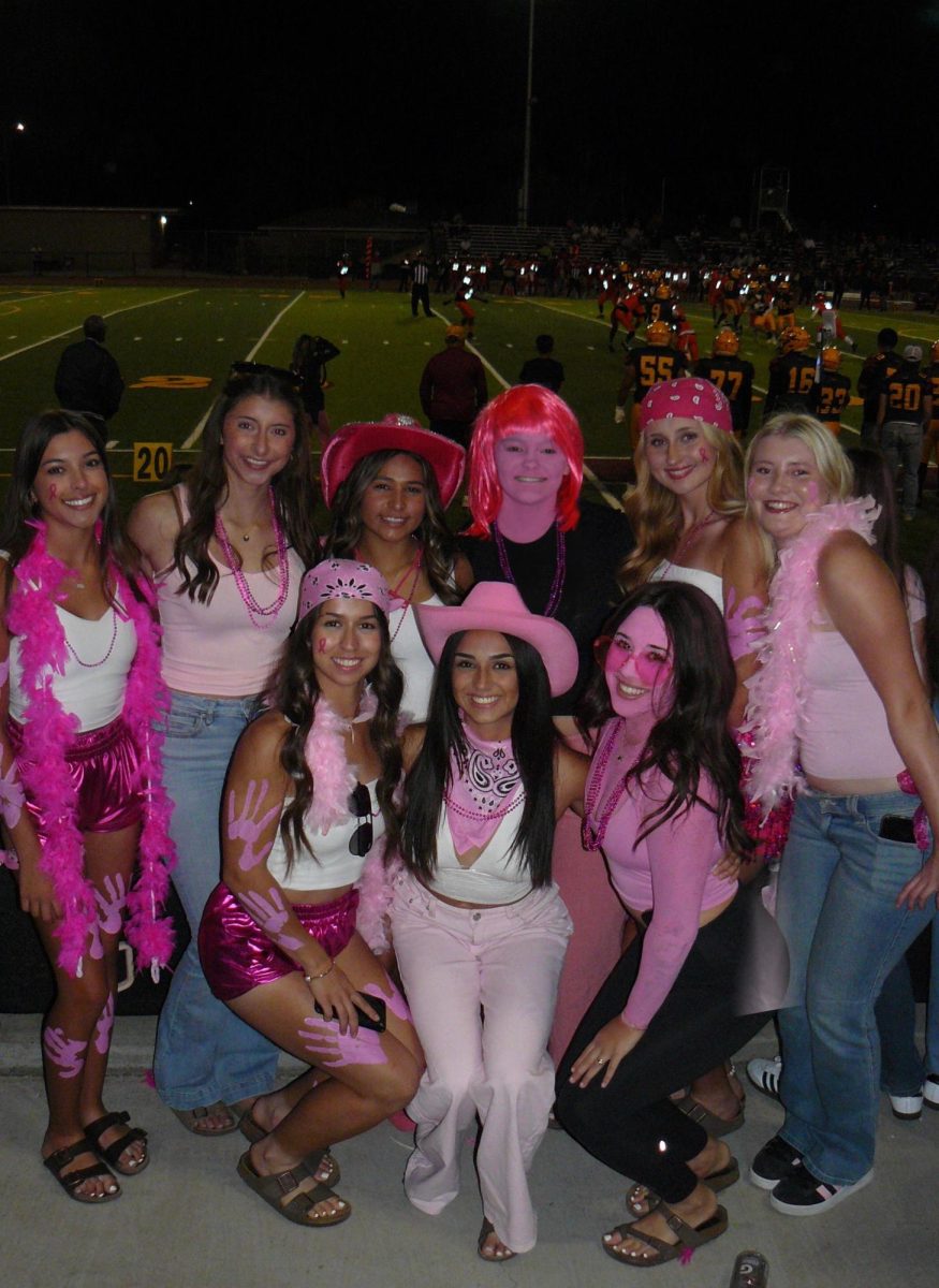 Student sections connect students outside of the classroom.