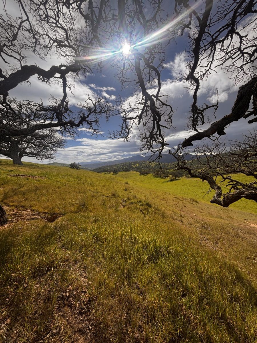 Find yourself in this dreamy place.
