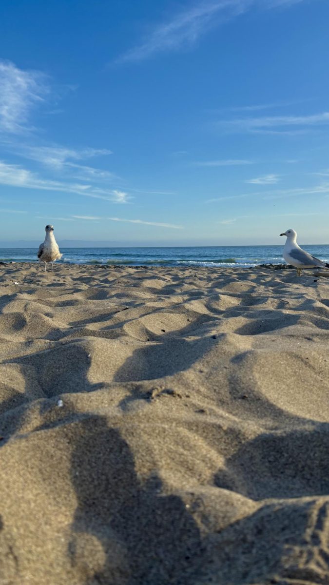 The beach is a great escape for spring vacation.