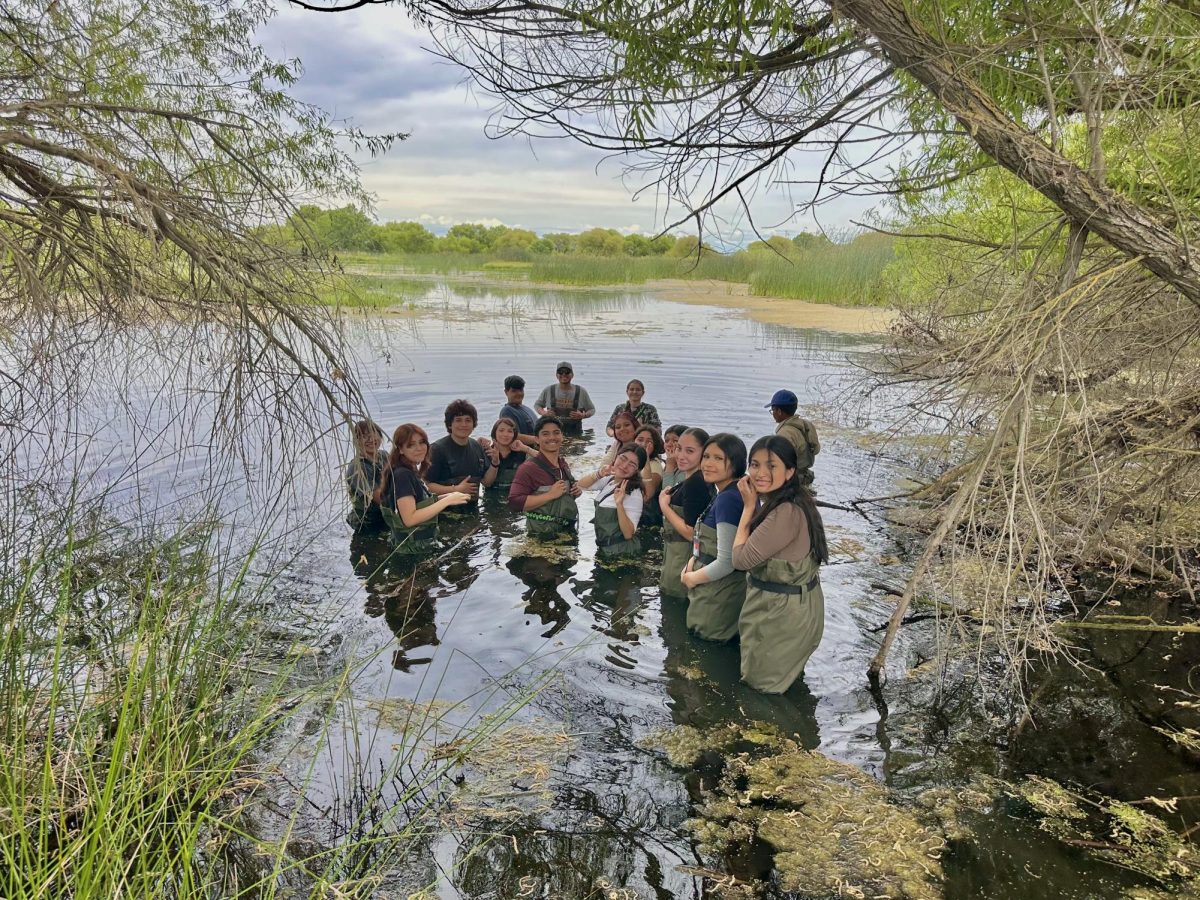 Students explore a pond ecosystem up close.