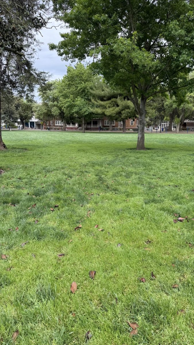 Campus beauty entices many seniors.