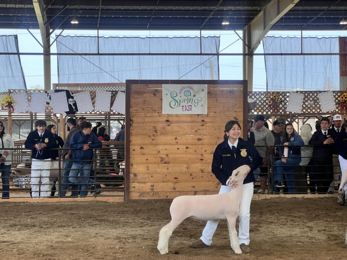 FFA exhibitors look forward to showing their animals and selling.