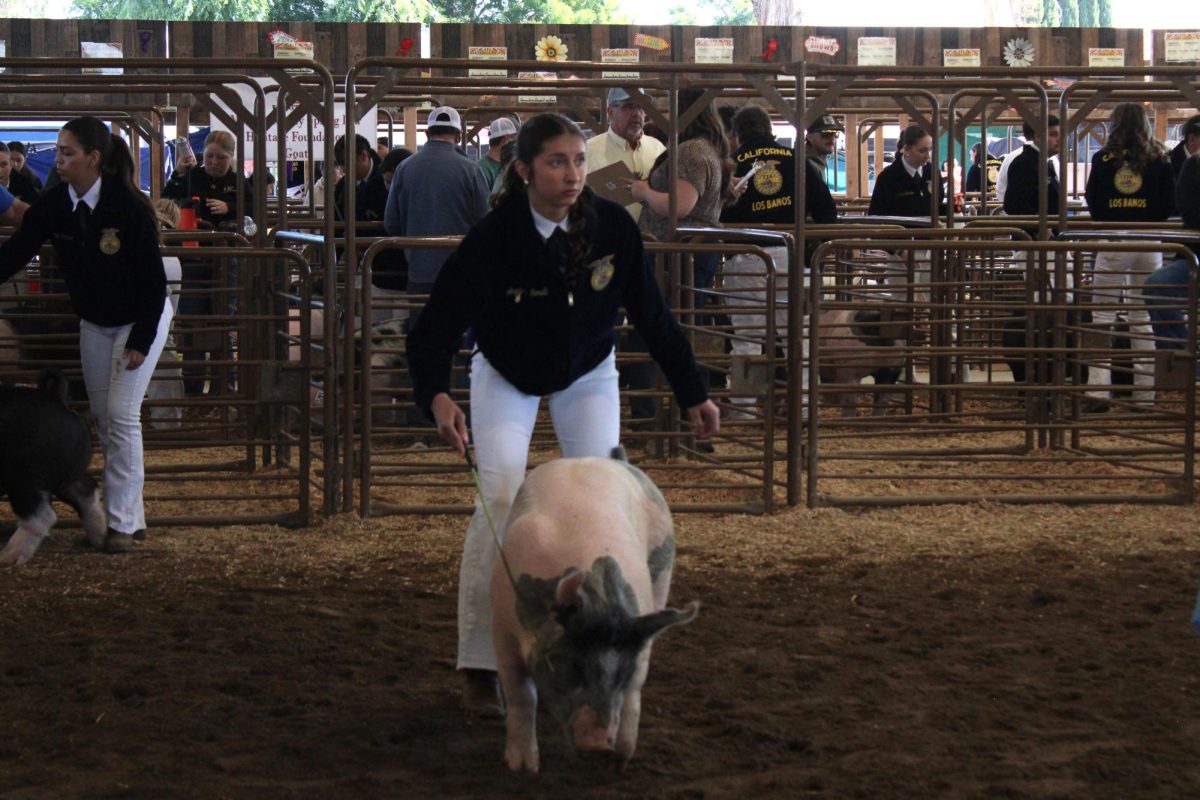 Angelina Borelli shows at the fair.