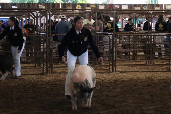 Angelina Borelli shows at the fair.